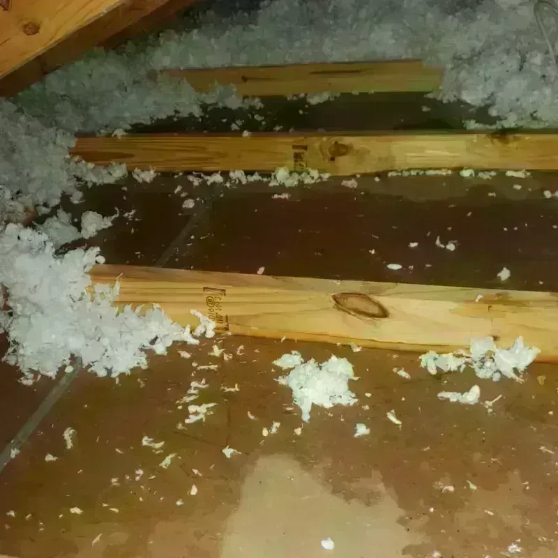 Attic Water Damage in Prospect, OH