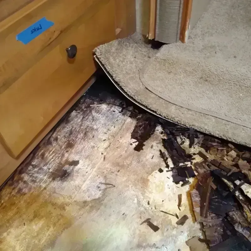 Wood Floor Water Damage in Prospect, OH